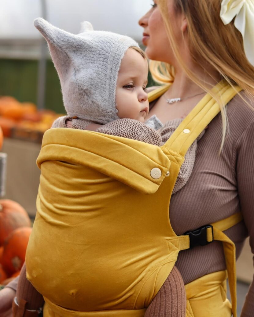 Popular Baby Carriers